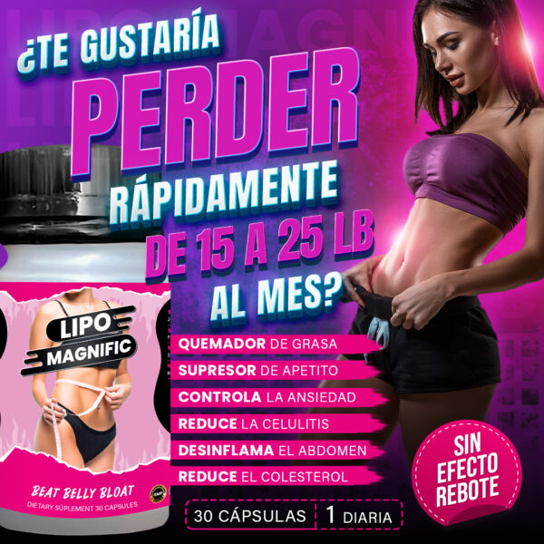 Lipo magnific cápsula adelgazante - Imagen 3